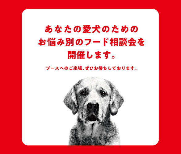 ロイヤルカナン