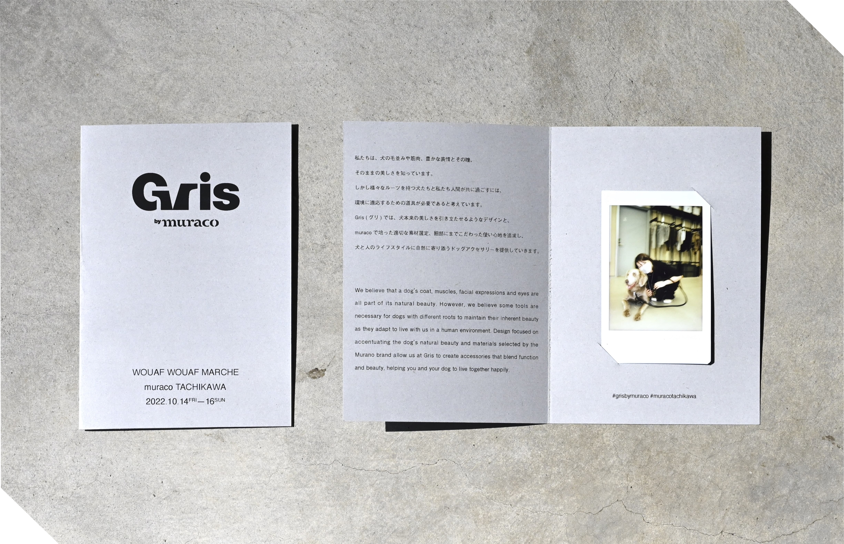 Gris by muraco
